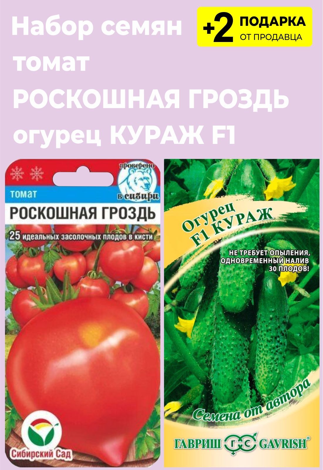 Томат роскошная гроздь. Томат роскошная гроздь Сибирский сад. Томат Вологда. Томат Вологодский.