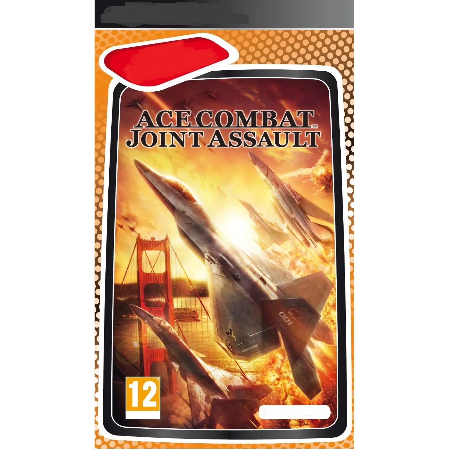 Ace Combat: Joint Assault игра