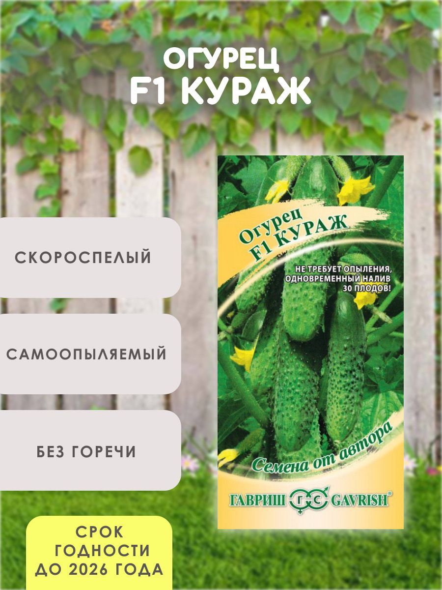 Кураж Огурцы Купить Семена