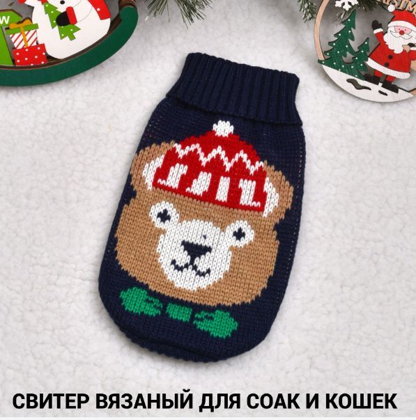 Одежда для кошек