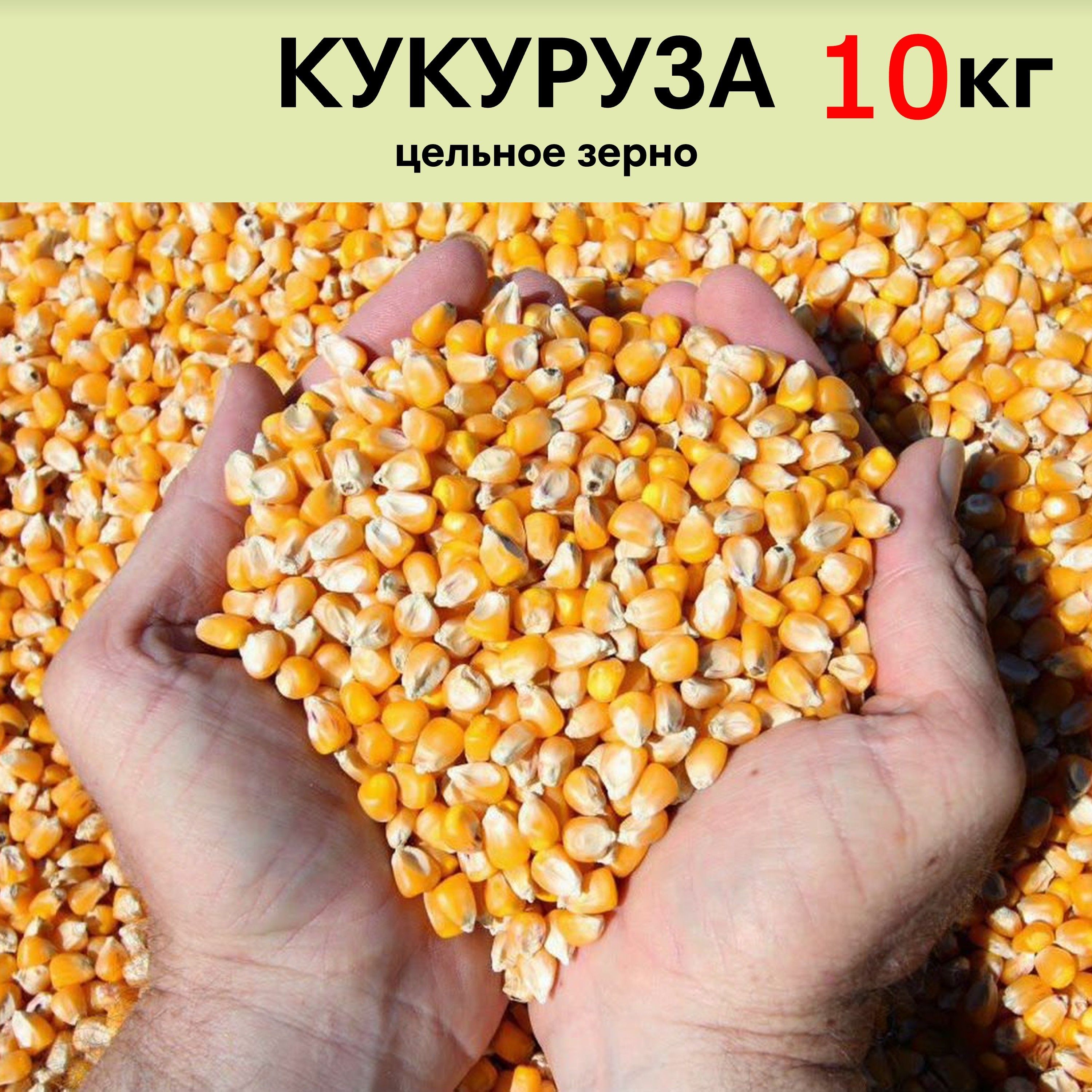 Кукуруза кормовая сухая цельное зерно 10 кг