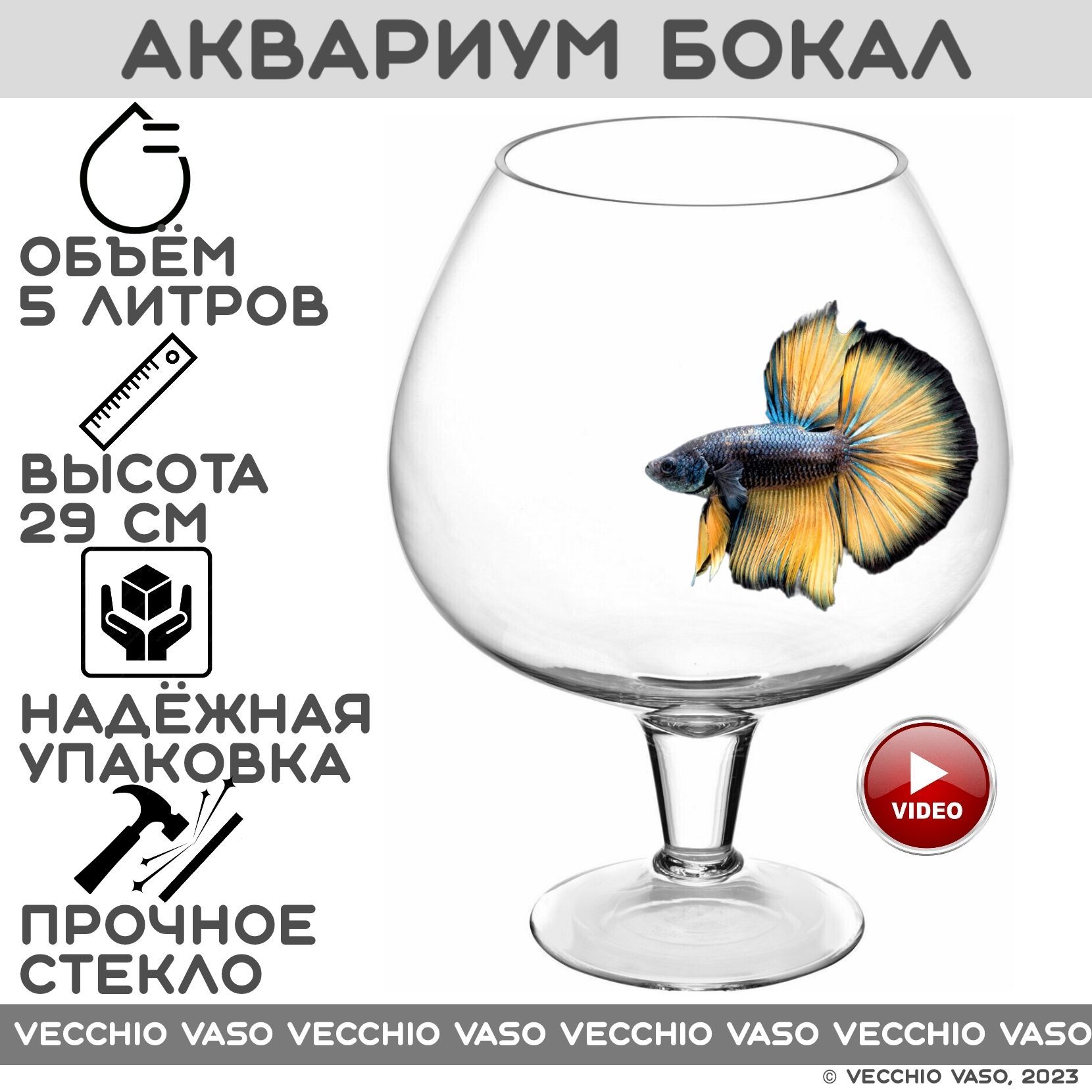 Золотая Рыбка В Бокале Купить