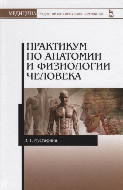 Методические пособия по анатомии. Практикум по анатомии. практикум по физиологии человека. практикум по анатомии человека. учебник по анатомии и физиологии.