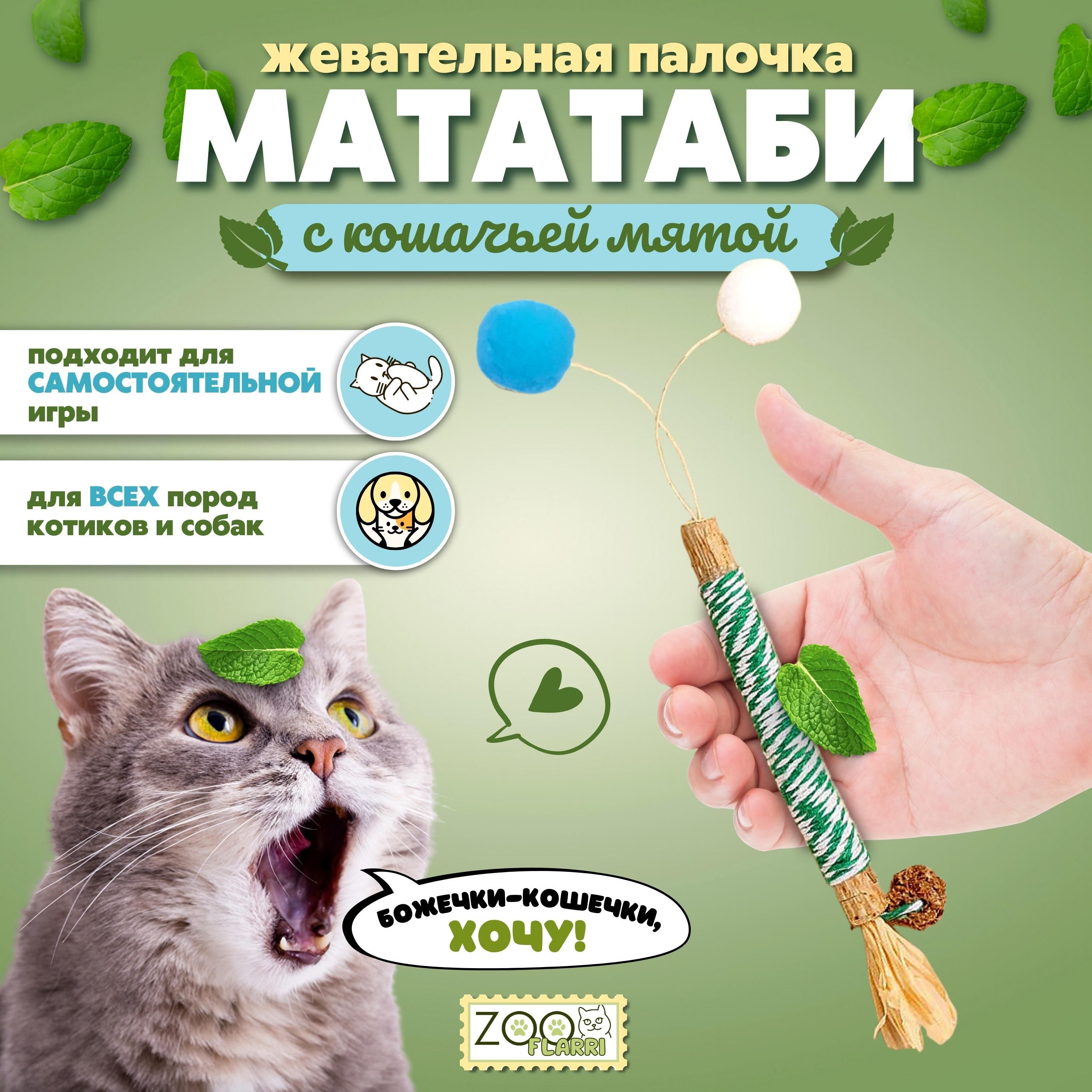 Игрушки мататаби для кошек с мятой - купить с доставкой по выгодным ценам в  интернет-магазине OZON (1246599107)