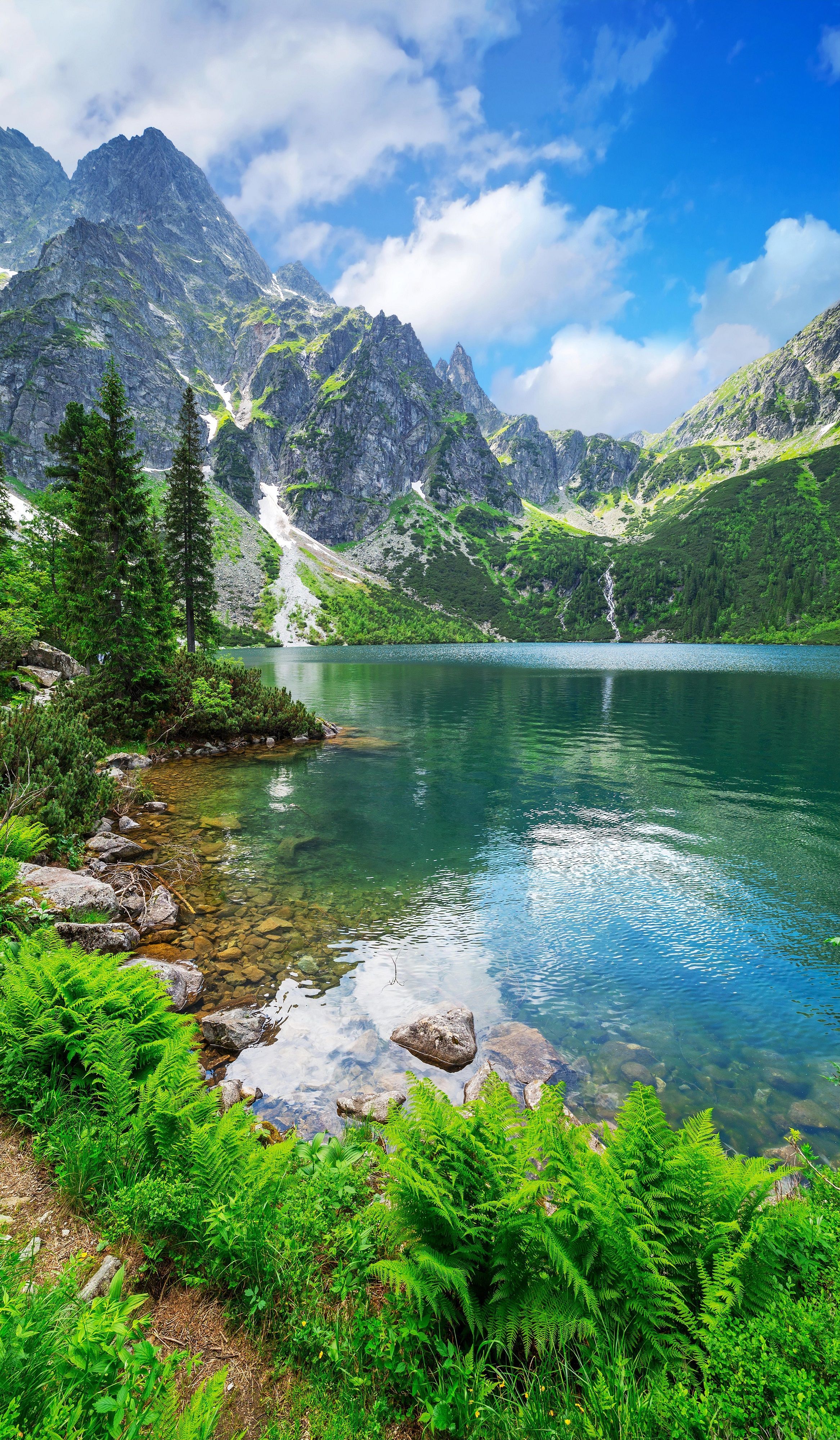 Картинки Лес Море Горы