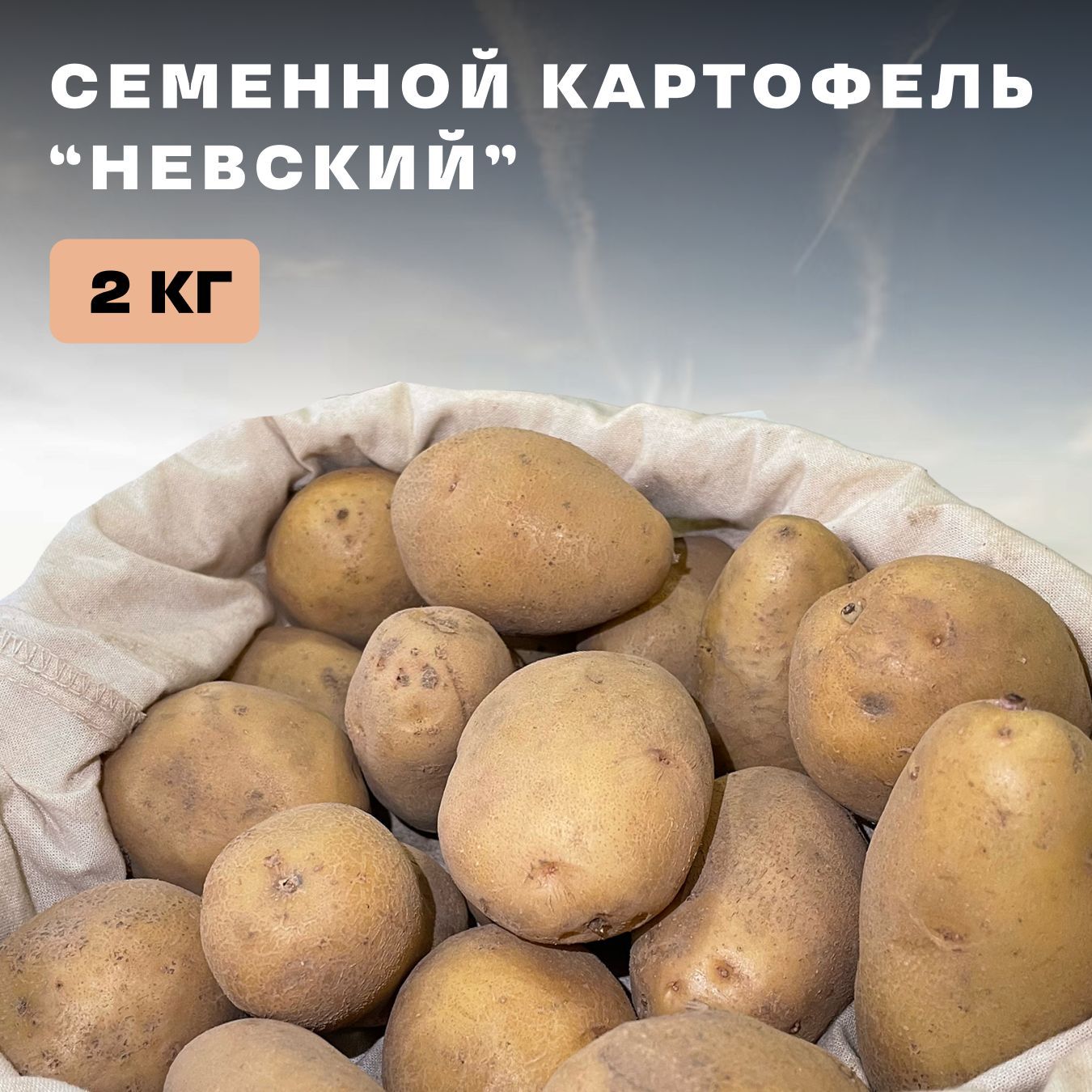 Купить Семена Картофеля Невский В Тульской Области