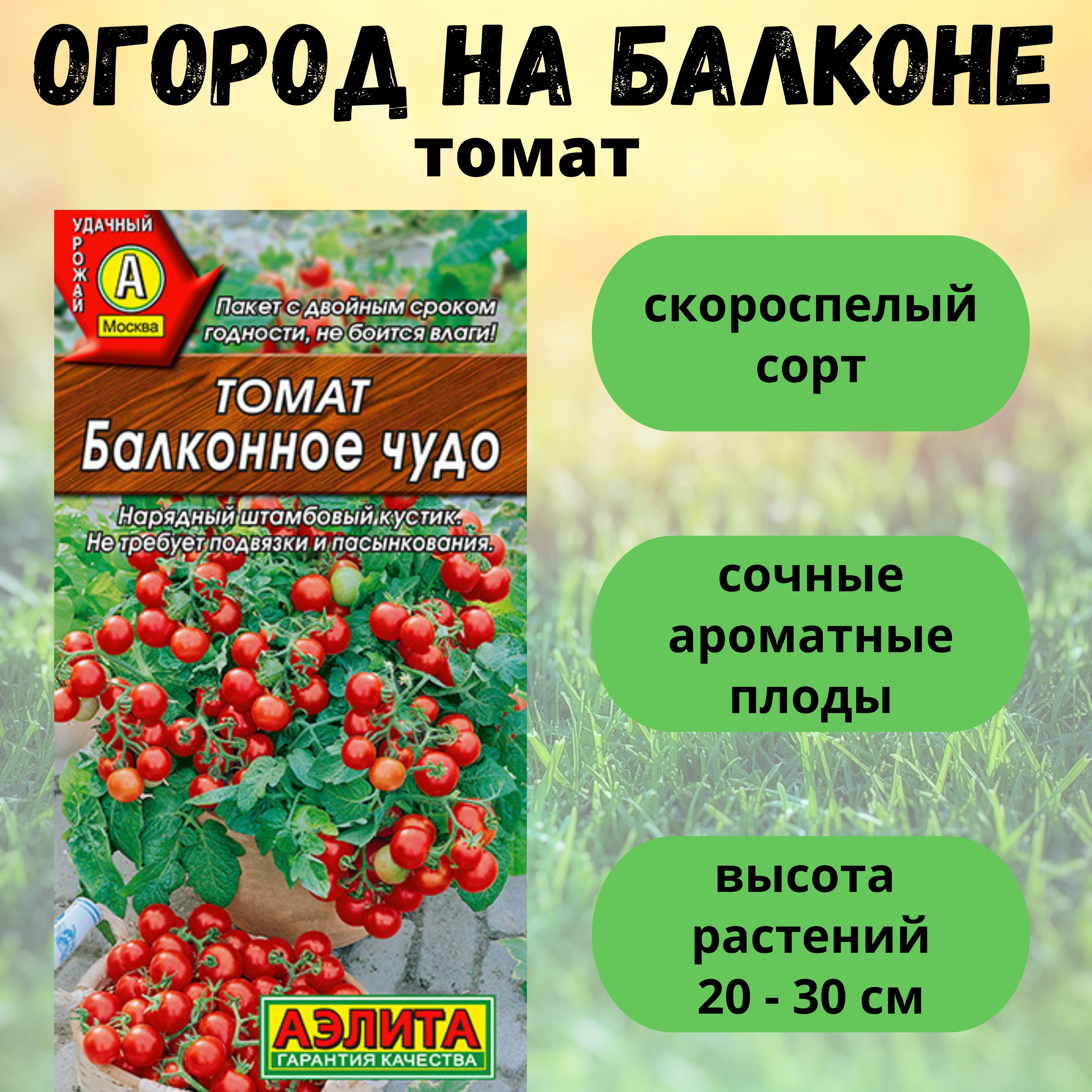 Томаты Аэлита Набор Огурец Бабушкин секрет и Огурец Всегда  удачные_красный_Томат Балконное чудо - купить по выгодным ценам в  интернет-магазине OZON (853267091)