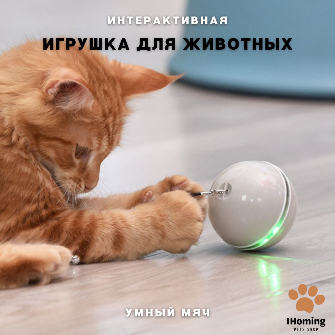 Игрушки для кошек, мяч для собак, интерактивная игрушка для кошек, умный  мяч USB