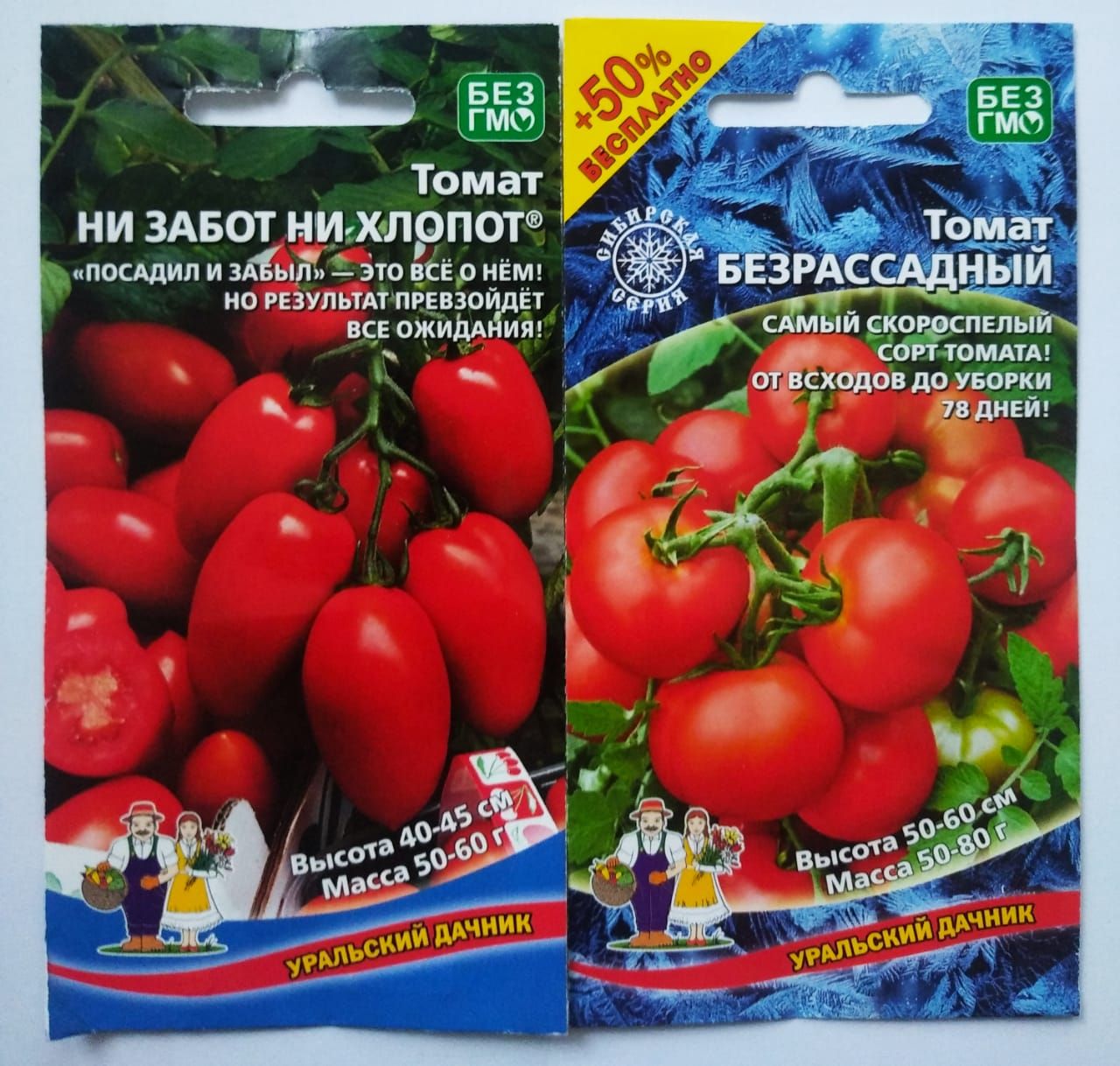Помидоры Безрассадные Сорта Отзывы И Фото
