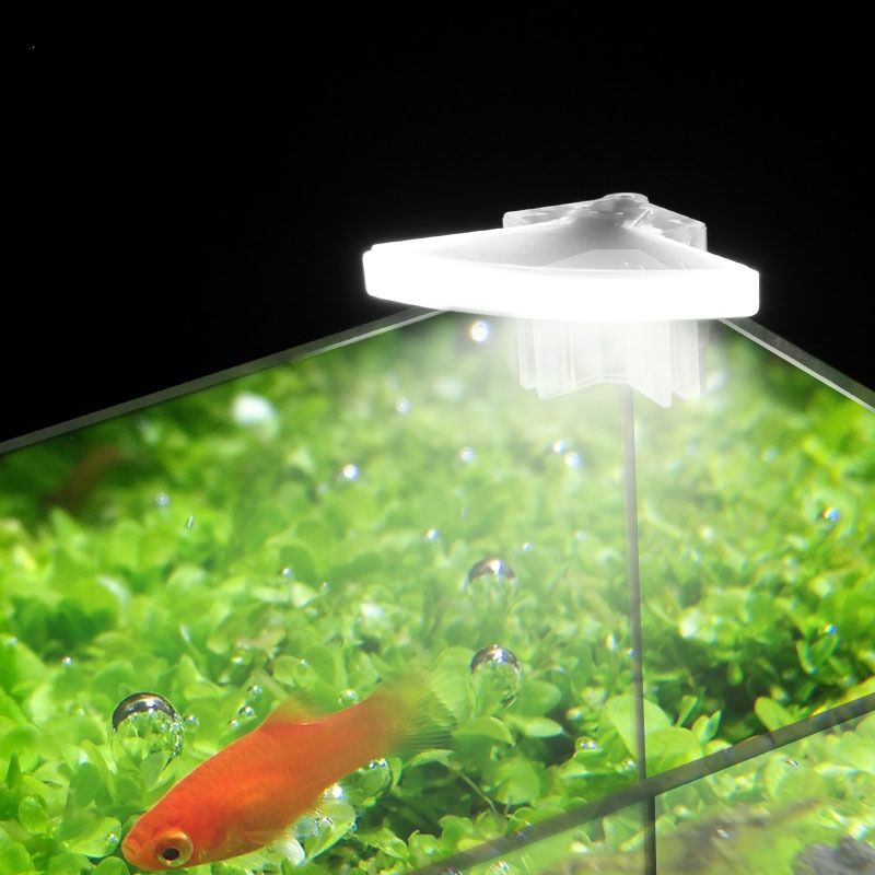 Aquarium lamp. Светильник 3 led Mini Aquarium Light. Аквариум fh08 AQUASYNCRO 6466 led. Мини-аквариум (led + Top Filter). Лампа для аквариума f488.