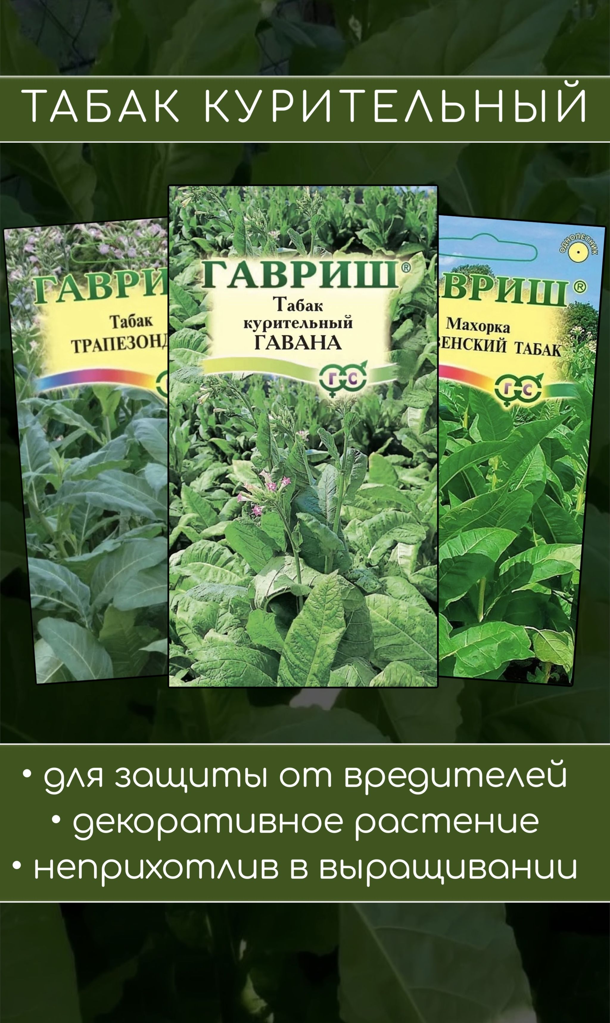 Курительные Семена Купить