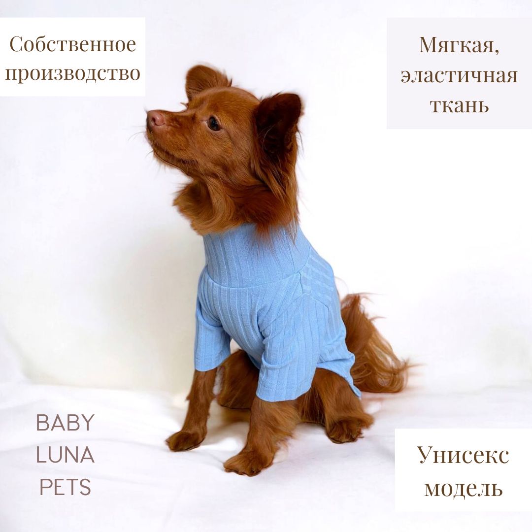 Водолазка для собак и кошек мелких и средних пород Baby Luna Pets - купить  с доставкой по выгодным ценам в интернет-магазине OZON (1342813141)