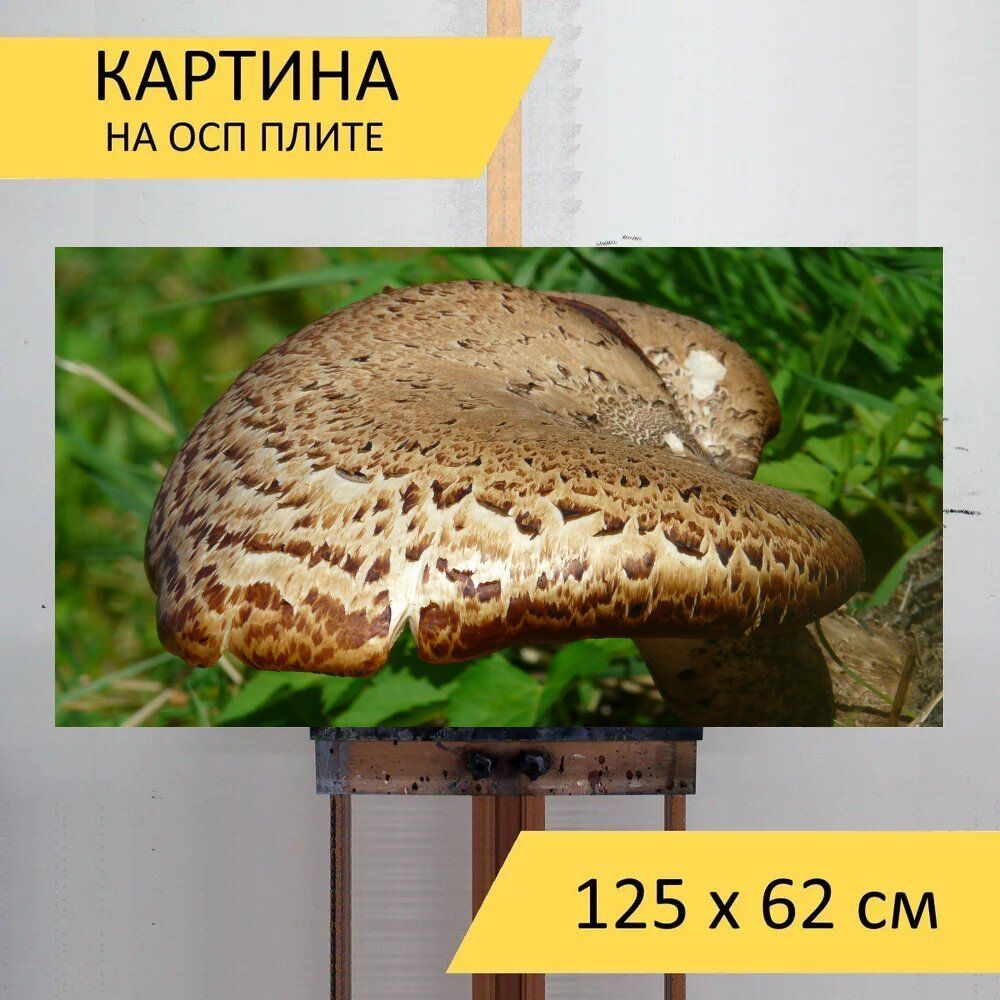 Картина леса 