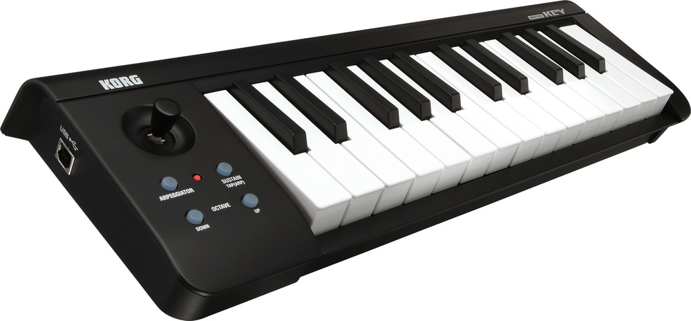 25 key weighted keyboard