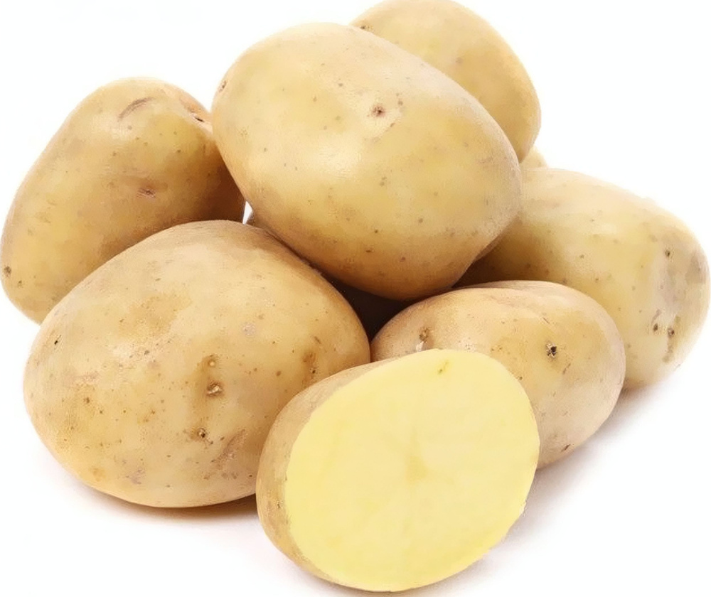 картофель сорт лимонка характеристика фото