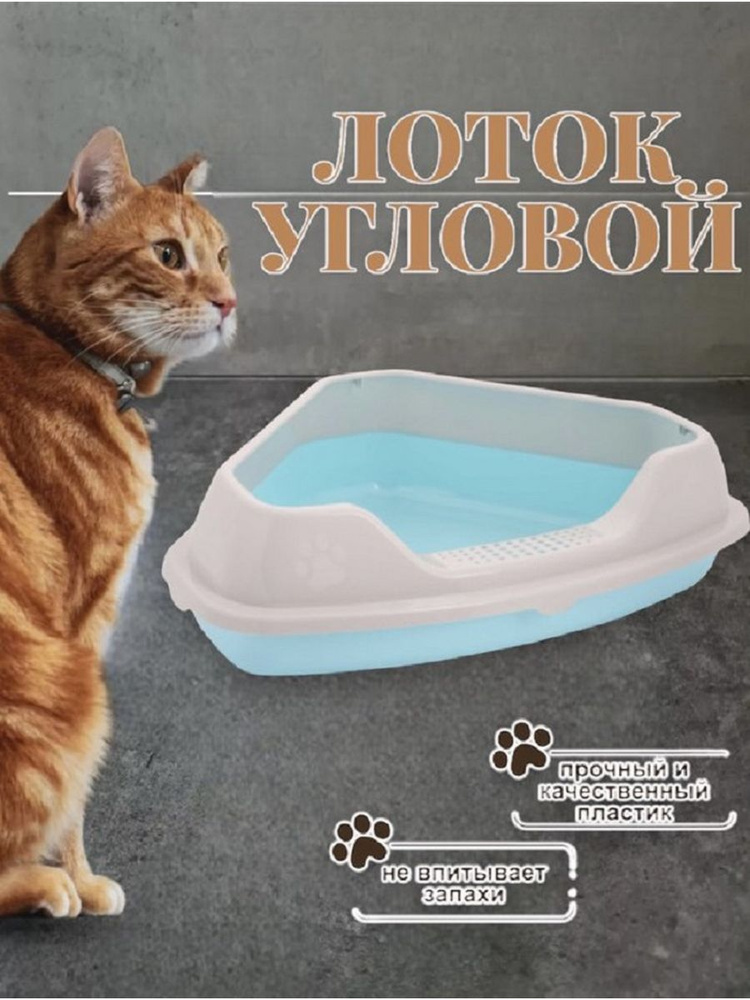Туалет лоток для кошки #1