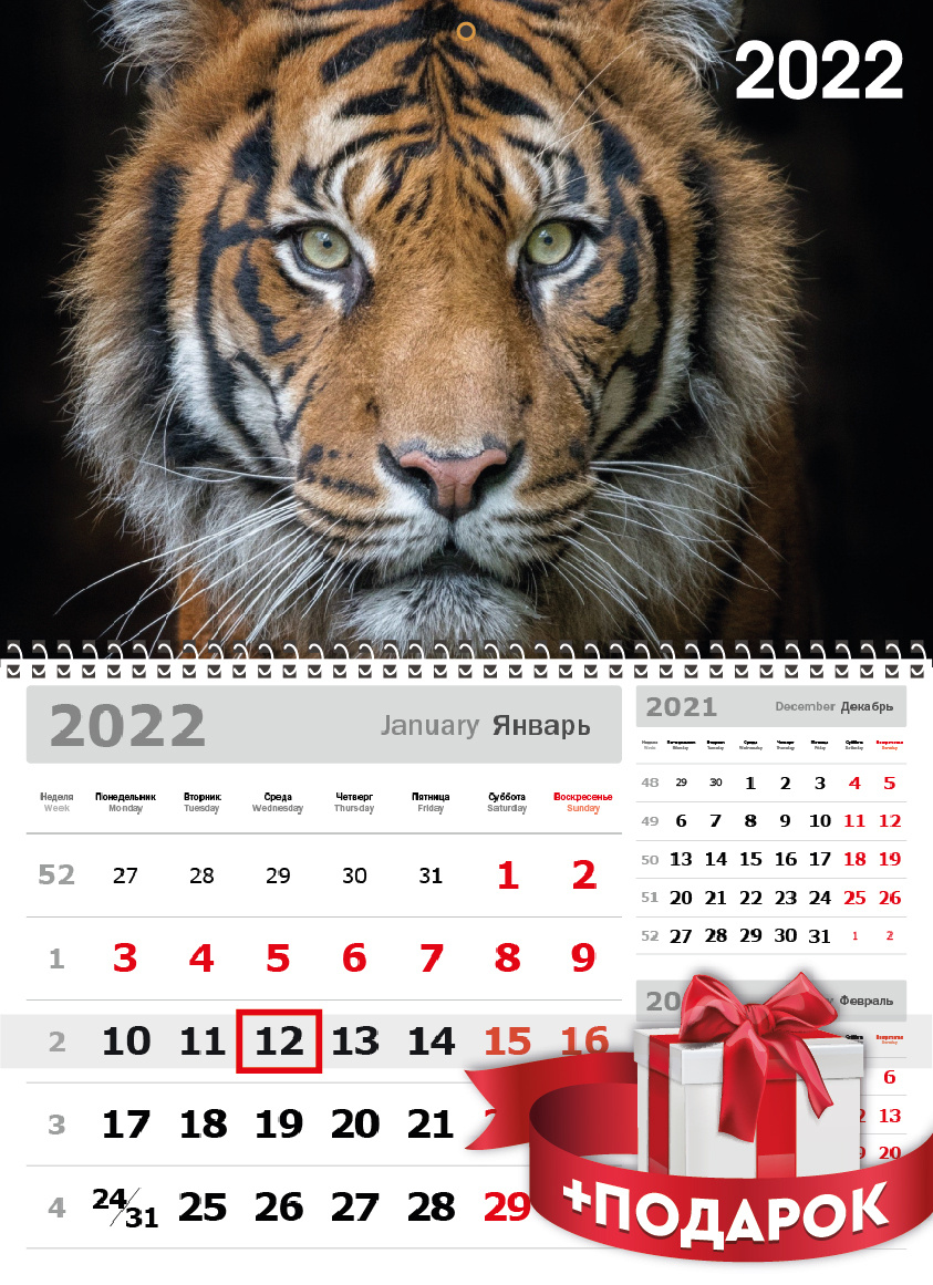 Календари Онлайн Бесплатно Вставить Фото 2022