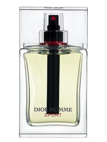 homme dior sport