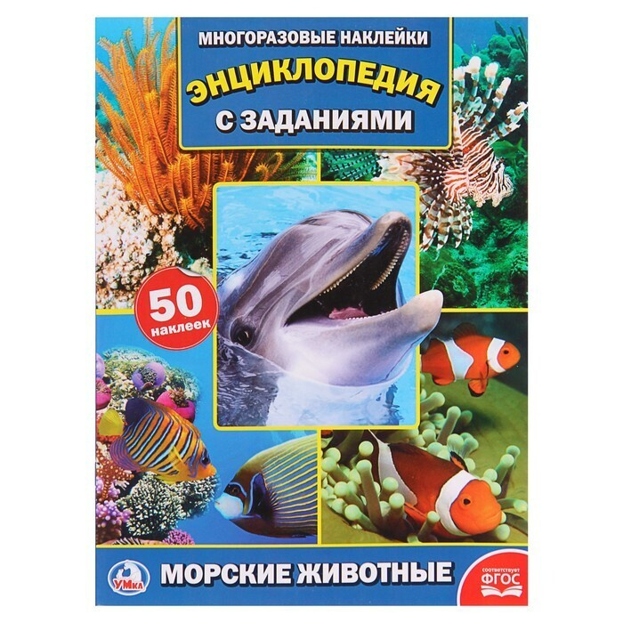 Морские Животные Фото Для Детей