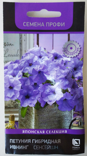 Петуния Ивнинг Сенсейшн - всё о сорте, от посадки до ухода, характеристики и отзывы - практическое руководство для садоводов Петуния Ивнинг Сенсейшн: описание сорта, характеристики, посадка и уход, отзывы - Садоводство