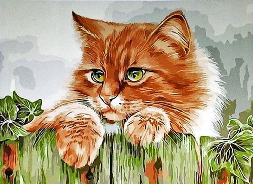 Картина по номерам рыжий кот