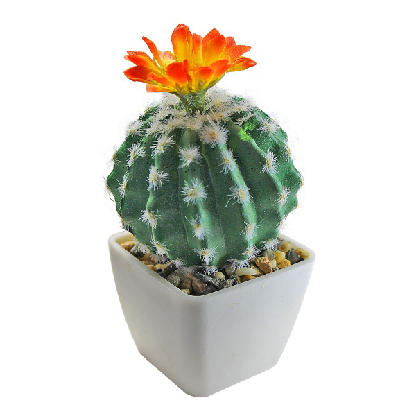 Секретная защита вашего дома: какой оберег на дверь работает всегда