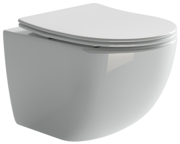 Подвесной унитаз Ceramicanova Forma Rimless безободковый с микролифтом ...