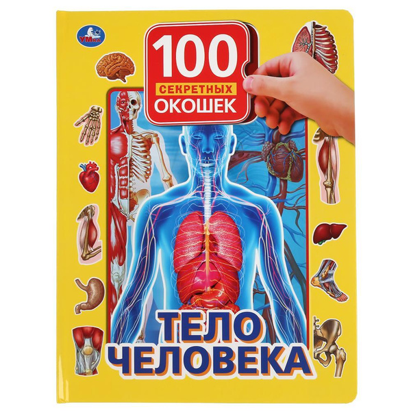 Книжка с окошками для малышей Тело человека Умка / интерактивные ...