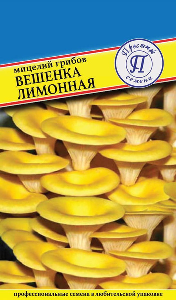 Мицелий "ВЕШЕНКА ЛИМОННАЯ" (Золотая) семена грибов - купить по выгодным ...