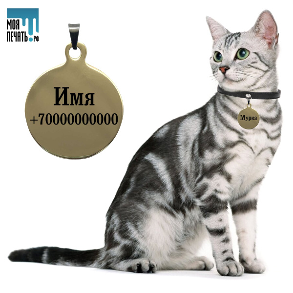 Адресник для кошки/кота и собак мелких пород с гравировкой - Круг с ...