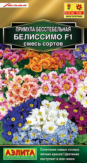 Примулы Аэлита 46-PRIMULAA - купить по выгодным ценам в интернет ...