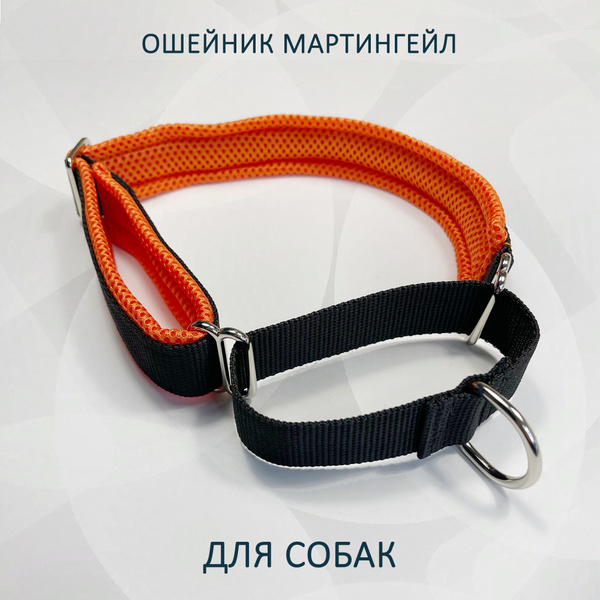 Ошейник для собак мартингейл (полуудавка) Чёрно-огненный. S - купить с ...