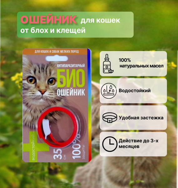 Антипаразитарный БИОошейник для кошек и собак мелких пород от блох и ...
