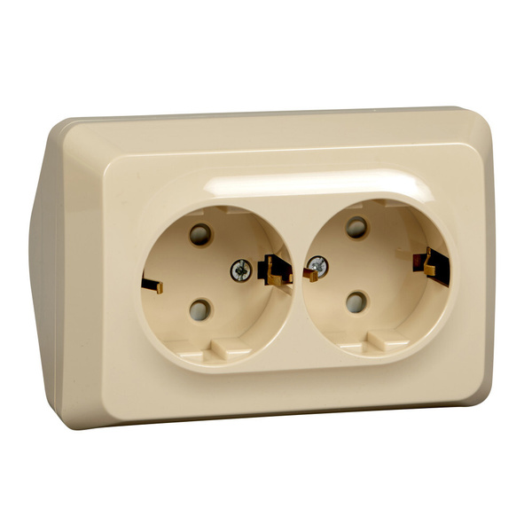 Розетка двухместная угловая с заземлением, со шторками, наружная, цвет ...