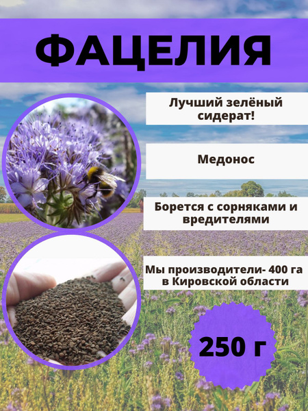 Сидераты Фацелия - купить по выгодным ценам в интернет-магазине OZON ...