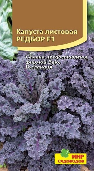 Капуста листовая декоративная Редбор F1
