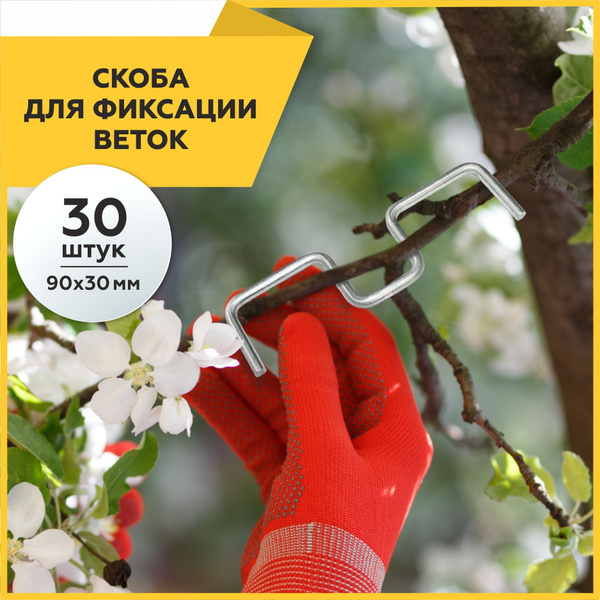 Садовые скобы для фиксации веток плодовых деревьев, 30 шт., колышки ...