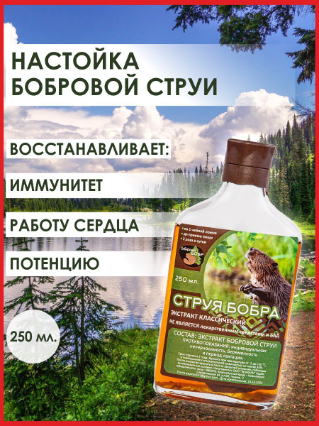 Струя бобра настойка 250 мл - купить с доставкой по выгодным ценам в ...
