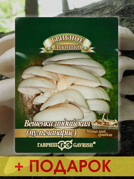 Семена мицелия грибов Вешенка индийская - купить по выгодным ценам в ...