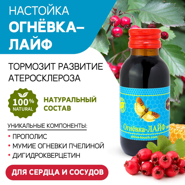 Настойка Огневка ЛАЙФ для сердца и сосудов, от давления, от холестерина ...