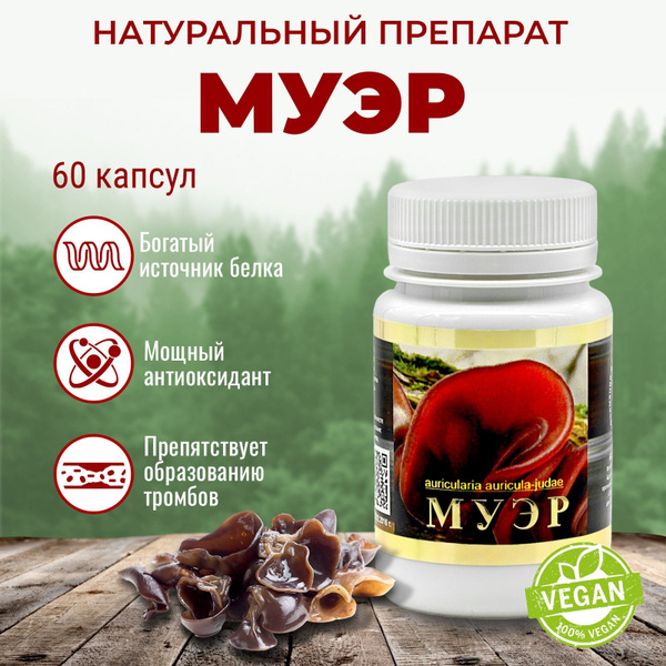 Грибы МУЭР фунго ши китайские, витамины бады сорбент для иммунитета ...
