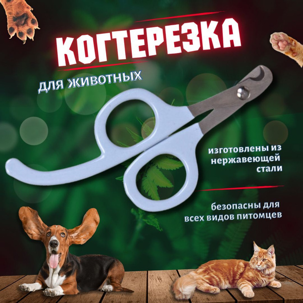 Когтерез Ножницы для кошек и собак мелких, средних пород, для груминга ...