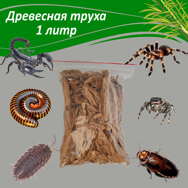 Древесная труха, субстрат для террариума - купить с доставкой по ...
