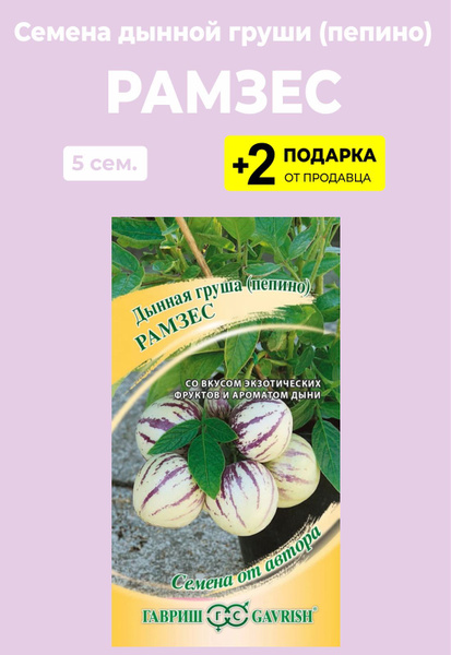 Пепино (Дынная груша) For Home And Family Рамзес - купить по выгодным ...