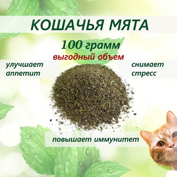 Кошачья мята сушеная лакомство для кошек 100 (10, 20, 50, 250, 500 ...