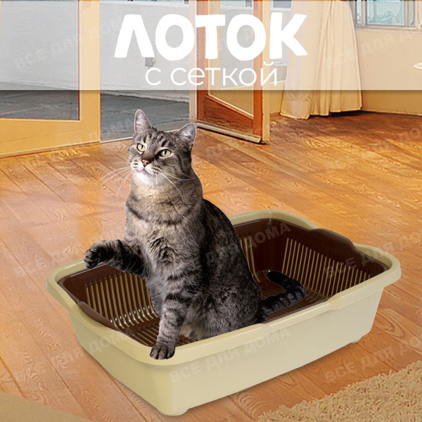 ВСЕ ДЛЯ ДОМА / Лоток для котят с сеткой маленький. Туалет лоток для ...
