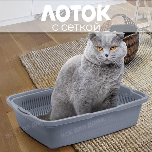 ВСЕ ДЛЯ ДОМА / Лоток для кошек и котов с сеткой. Большой кошачий туалет ...