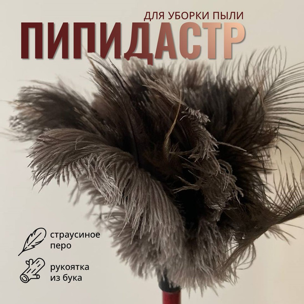 Пипидастр Magic Passion, 1 шт, Дерево, Перо, коричнево-красный по ...
