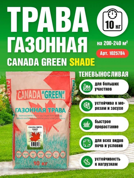 Газонные травы, Различные травы Canada Green Газон Теневой - купить по ...