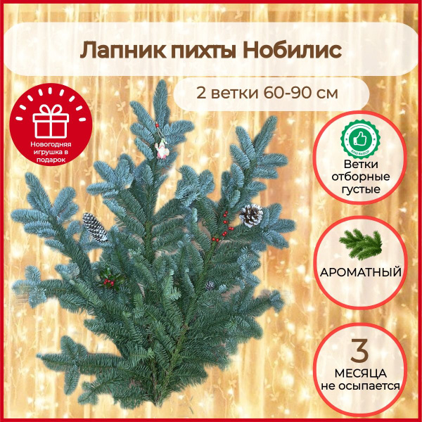 Лапник Пихты Нобилис 2 крупные ветки 60-90см - купить с доставкой по ...